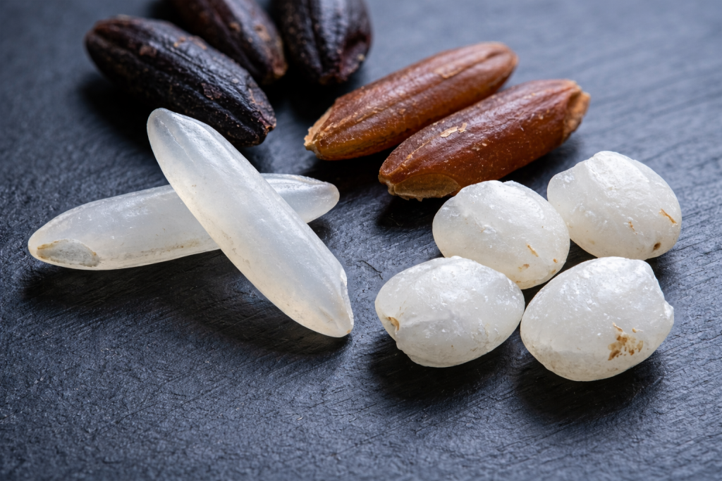 Tipos de arroz y para qué sirve cada uno | Mamá ya sé cocinar