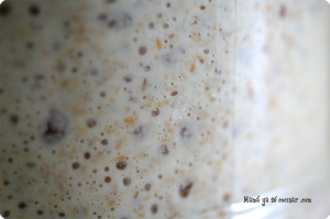 Masa madre para un pan de verdad !